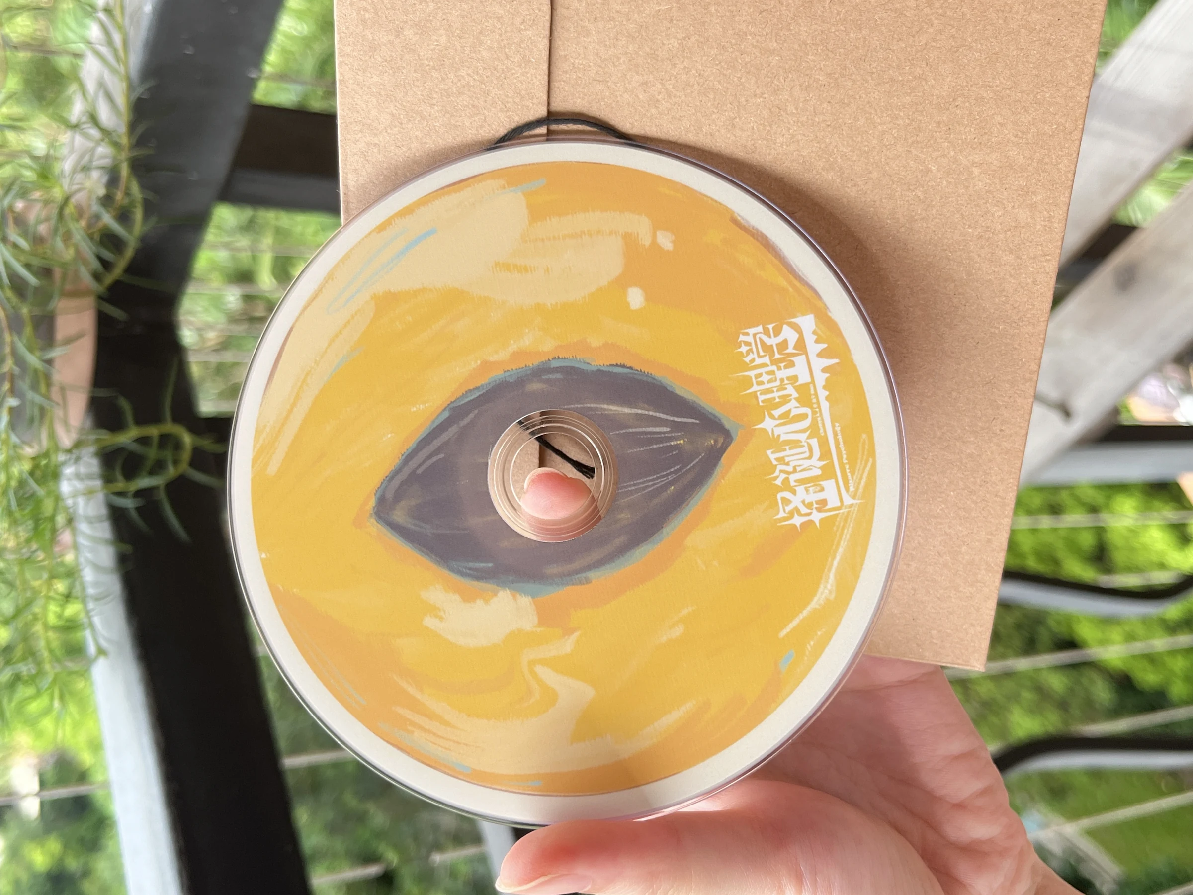 兽瞳DVD打样记录