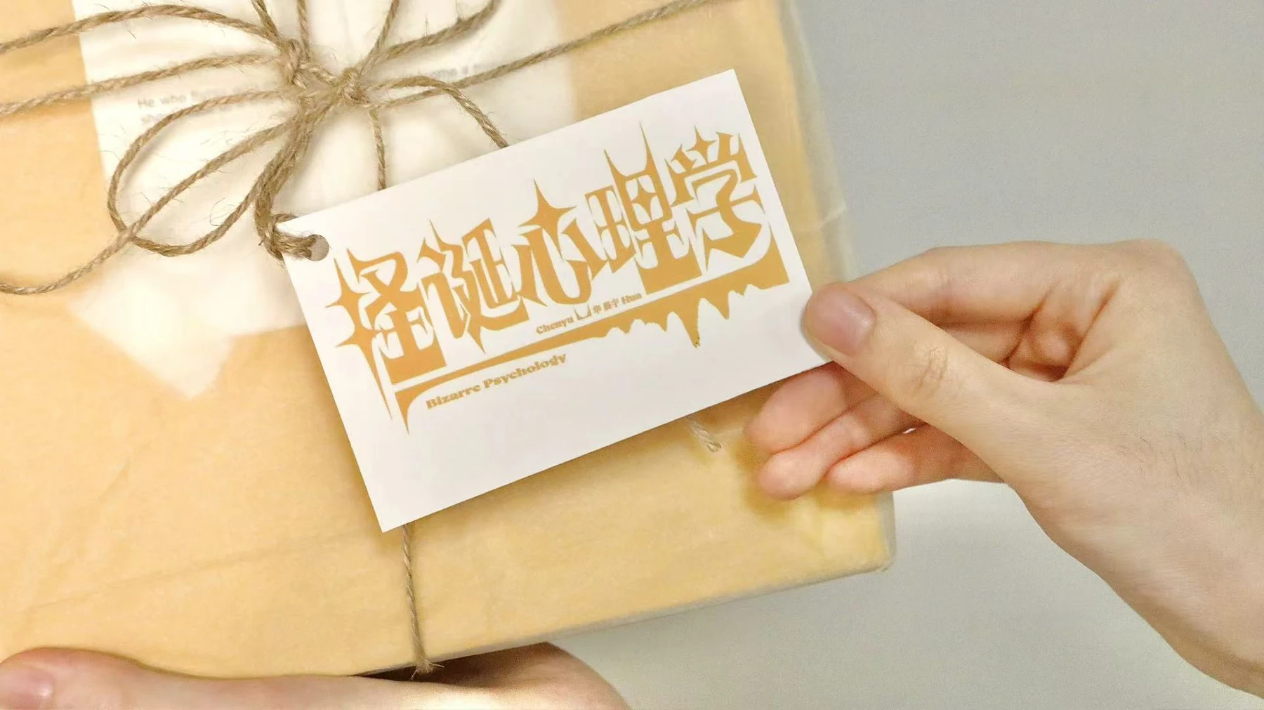 怪诞心理学专辑包装标题标签特写
